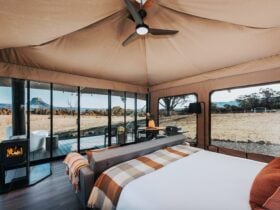 Honeyeater Tent: Uninterrupted Views of Pantoneys