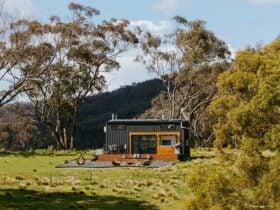 Wildnest Wilderness - TinyNest