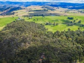 Megalong Valley views