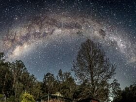 Willow's Retreat