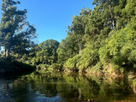 Wilson River Retreat