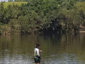 A great way to explore the Clarence River
