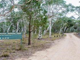 Wog Wog campground, Morton National Park. Photo: Michael van Ewijk/NSW Government