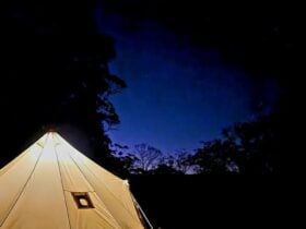 Wolka Park Rustic Glamping