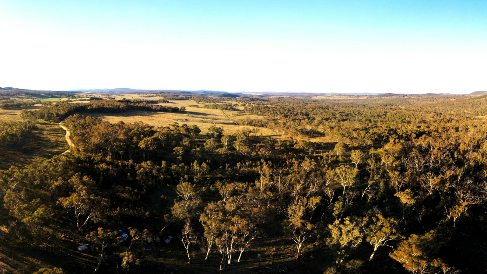 Stunning bushland