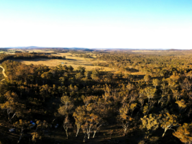 Stunning bushland