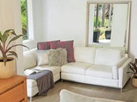 17ac256d 5403 7605 A5a8 5ba16b7a5d9a Ajzjnii