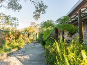 This is the central courtyard for the cabins. A great spot to enjoy dinner or a drink.