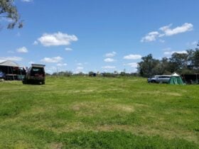 Wongalea Fishing and Camping
