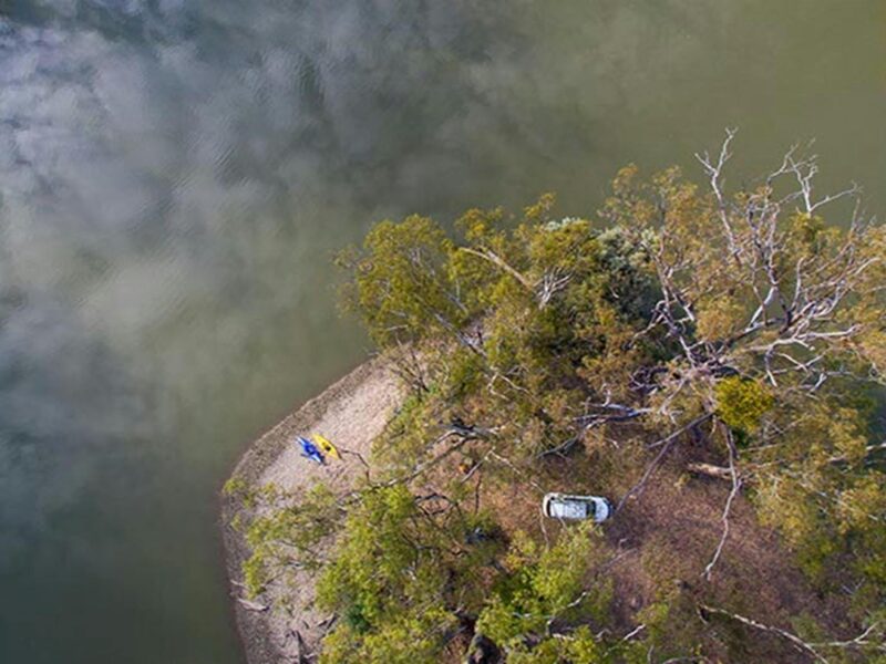 Aerial view of Murrumbidgee River and river red gums, Yanga National Park. Photo: Vision House