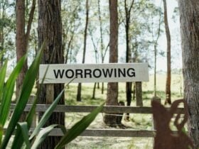 Worrowing Jervis Bay