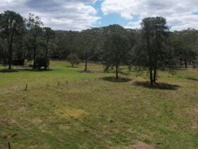 Wy-la Cooranbong