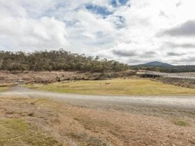 Yarrangobilly Village campground, Kosciuszko National Park. Photo: Murray Vanderveer/NSW Government
