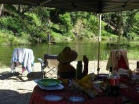Yarrawin Camping