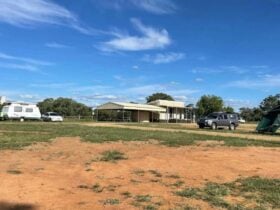 Yeoval Showground