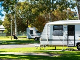 Caravans parked in the sun and shade.
