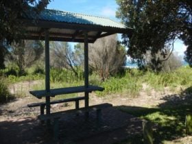 Picnic shelter, Abbey Creek picnic area. Photo: Debby McGerty © OEH