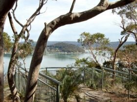 Allen Strom Lookout, Bouddi National Park. Photo: Susan Davis © OEH