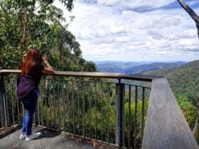Andrew Laurie Lookout at Gloucester Tops