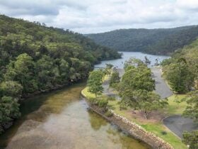 An aerial photo of Apple Tree picnic area surrounded by Apple Tree Creek, Cowan Creek and