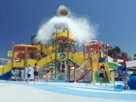 Great family fun day for the whole family