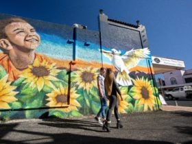 Art Trails in the Moree Plains