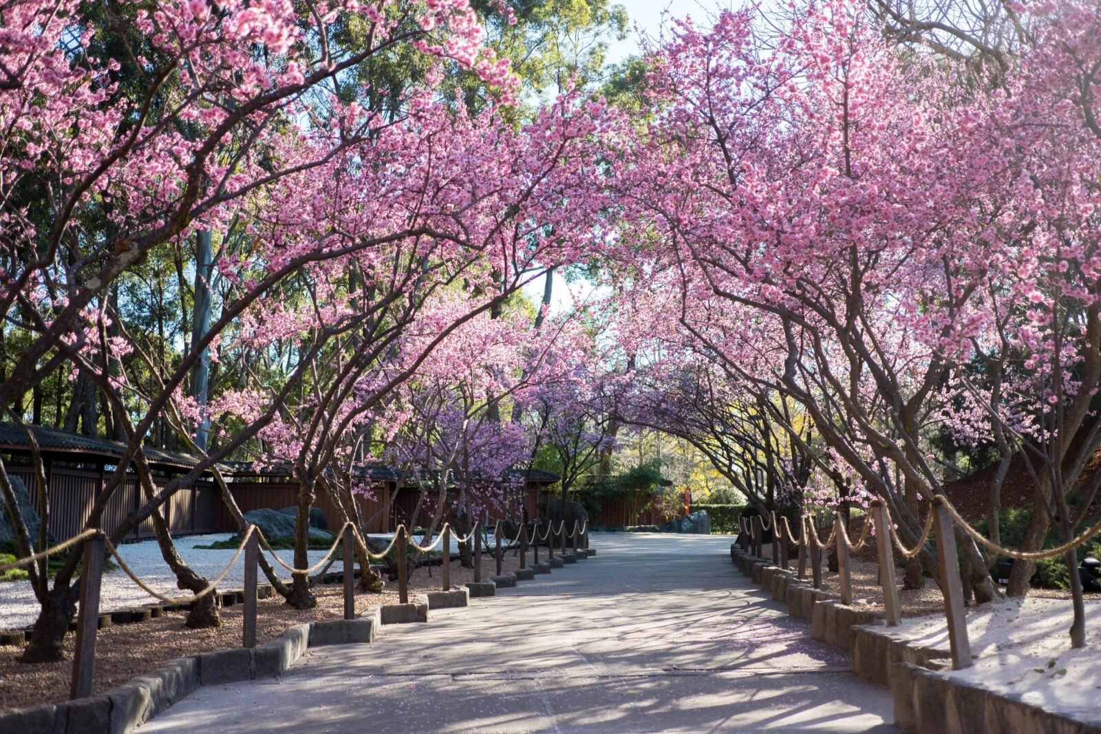 A place full of beautiful surprises