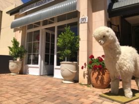 Outside Store