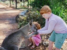 Australian Wildlife Sanctuary