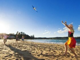 Family flying a kite on Avoca Beach, Central Coast