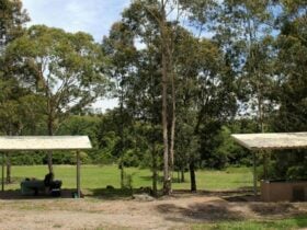 Back creek picnic area, Blue Gum Hills Regional Park. Photo: John Yurasek © OEH