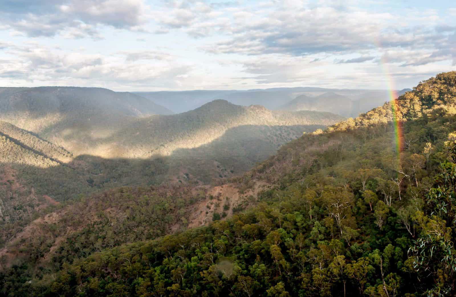 Badgerys Spur walking track, Morton National Park. Photo: Michael van Ewijk