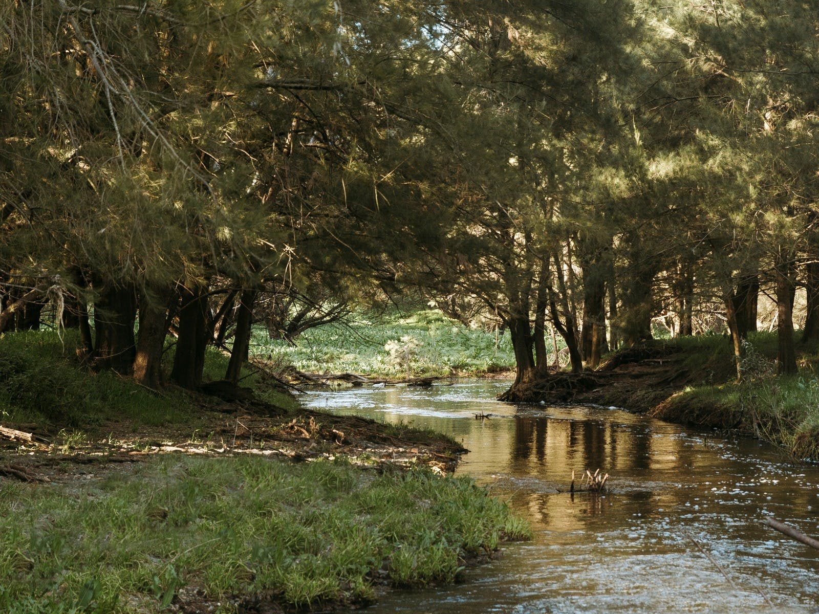 Belubula River
