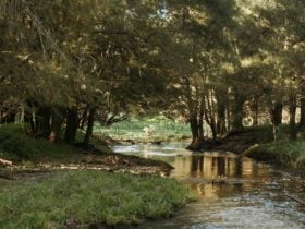 Belubula River