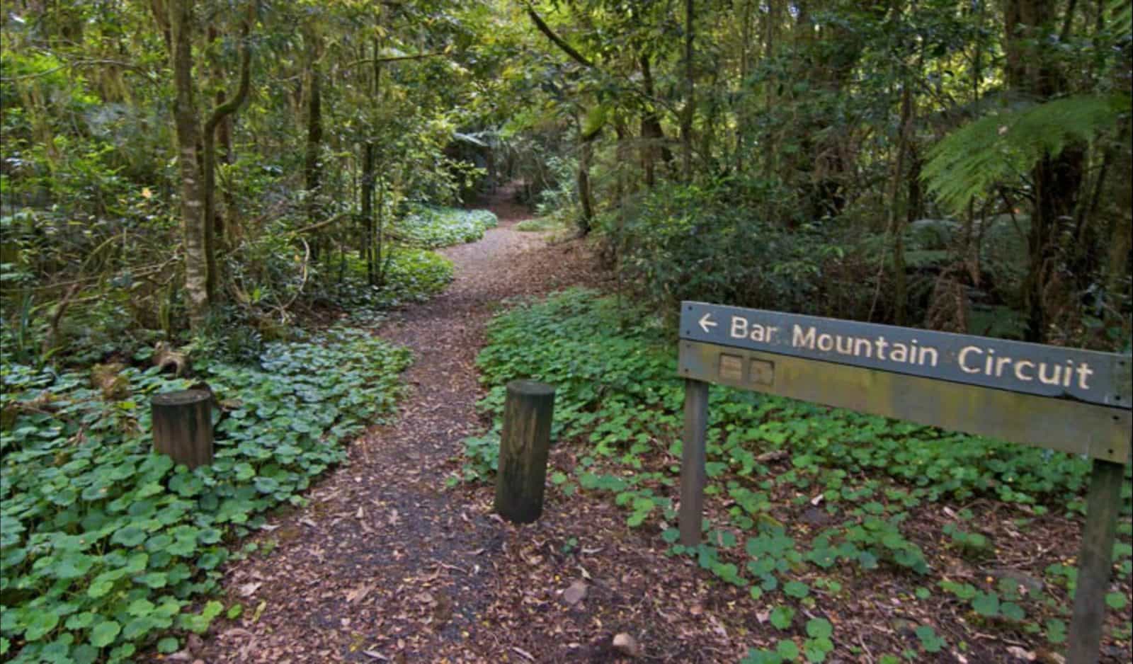Bar Mountain circuit