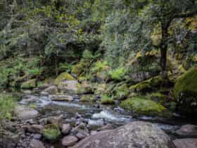 Manning River