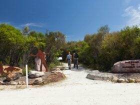 Two people walking through The Basin Aboriginal art site in Ku-ring-gai Chase National Park. Photo: