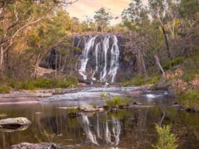 stunning view of Basket Swapm Falls