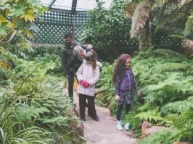 Bathurst Fernery, Garden, History, Walk