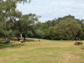 Green grass and trees in Bents Basin Road picnic area. Photo: John Yurasek © OEH