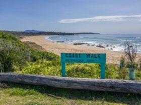 Bermagui Coastal Walk, Bermagui, Walking, Sapphire Coast, South Coast, walks