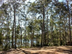 Bermagui Picnic Area