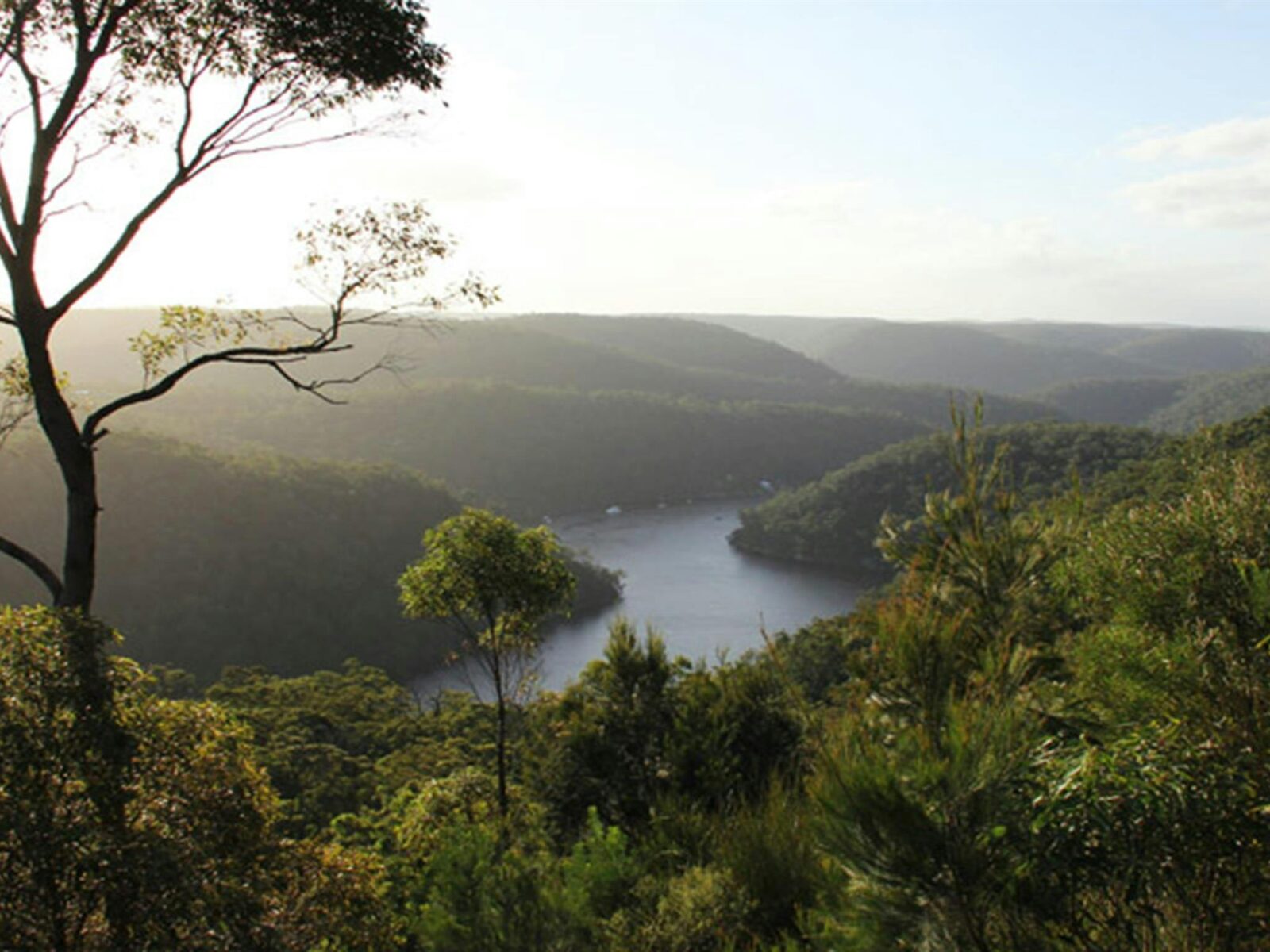 View over Berowra Valley from Barnetts lookout. Photo: John Yurasek © DPIE