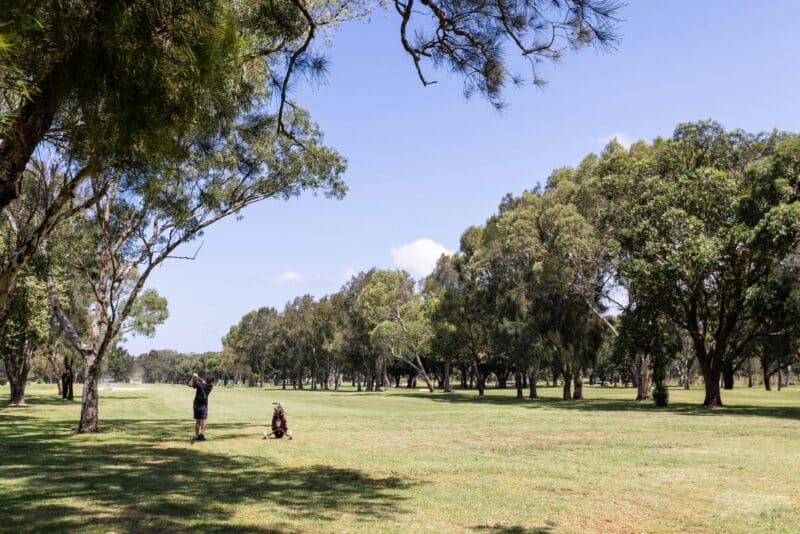 Golfer at Beverley Park Golf Course