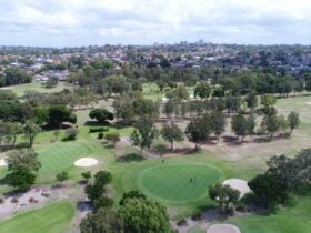Beverley Park Golf Course looking towards Hurstville