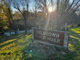 Entry Bielsdown Rive