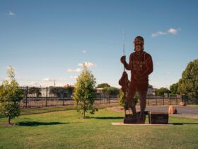 The Big Bogan statue in the town of Nyngan