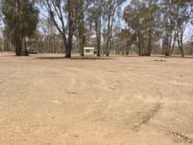 Campground with trees in background
