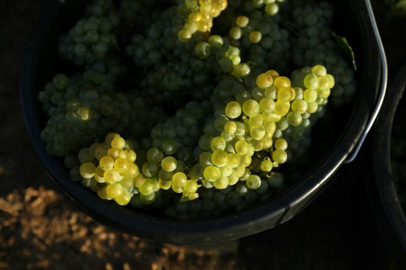 Binet Family Wines Vineyard