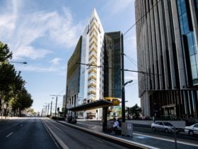 north terrace medical research precinct
